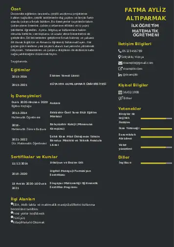 Matematik Öğretmeni Cv Örnekleri cv indir